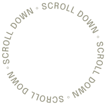 Indicador visual circular con el texto "Scroll down" para invitar al usuario a navegar hacia abajo.